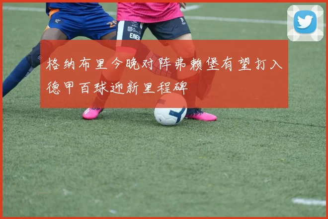 格纳布里今晚对阵弗赖堡有望打入德甲百球迎新里程碑