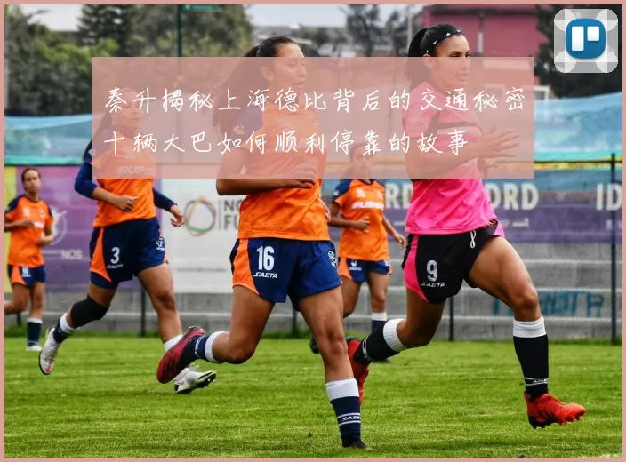 秦升揭秘上海德比背后的交通秘密十辆大巴如何顺利停靠的故事
