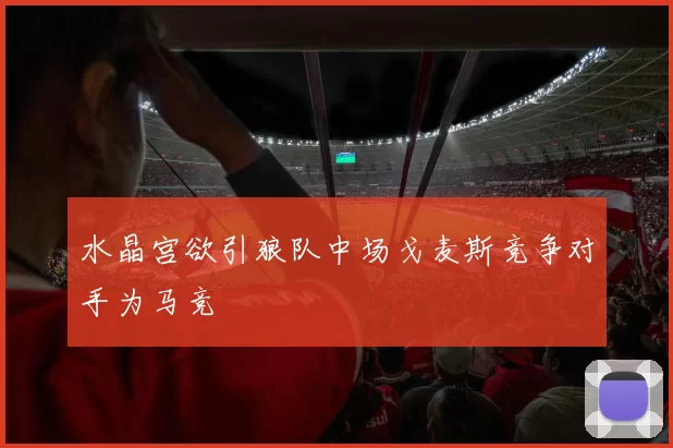水晶宫欲引狼队中场戈麦斯竞争对手为马竞