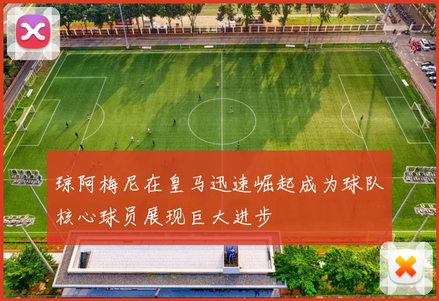 琼阿梅尼在皇马迅速崛起成为球队核心球员展现巨大进步